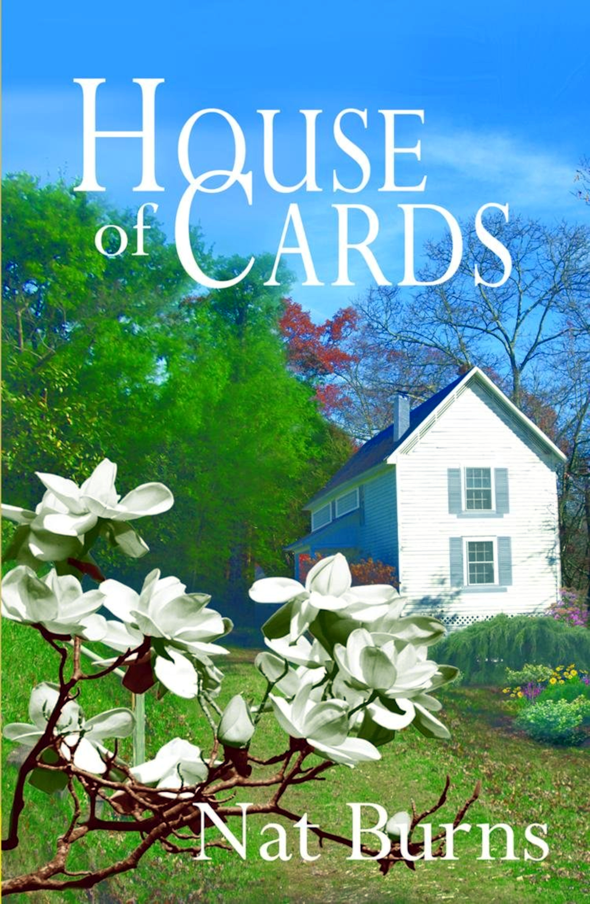 House of Cards by Nat Burns